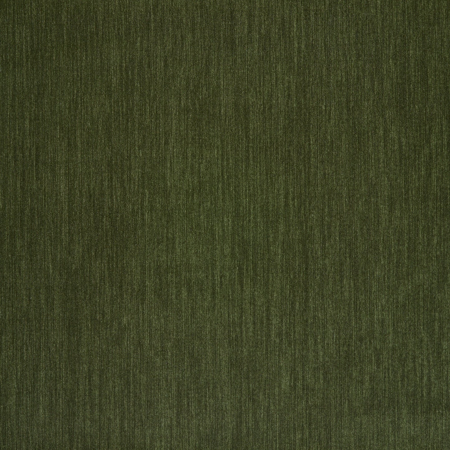 Amici Moss