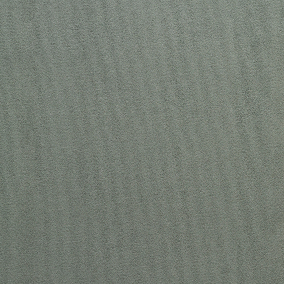 Bella Blue Mist