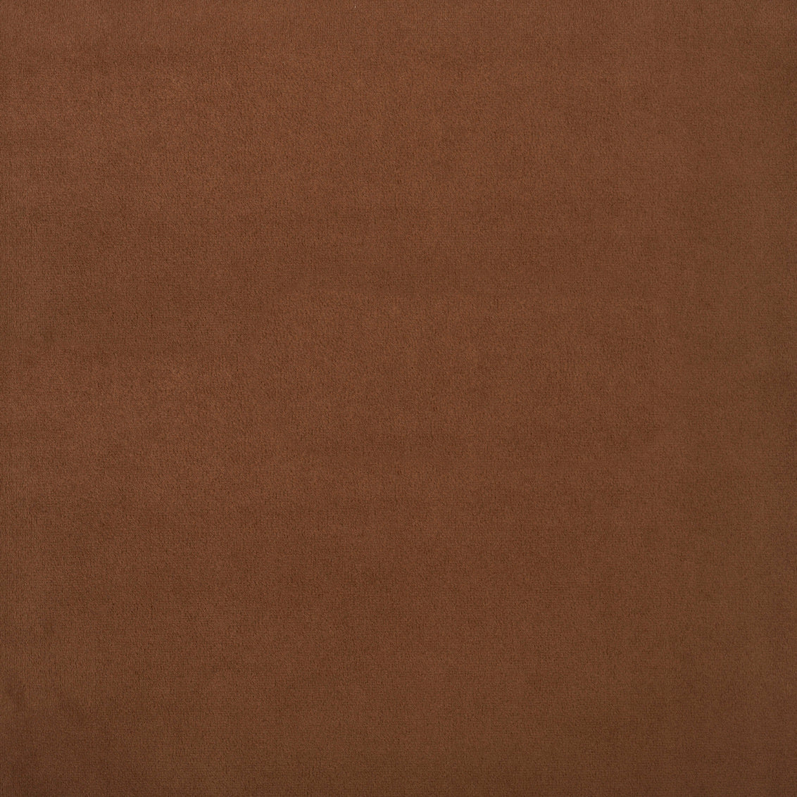 Bella Cognac
