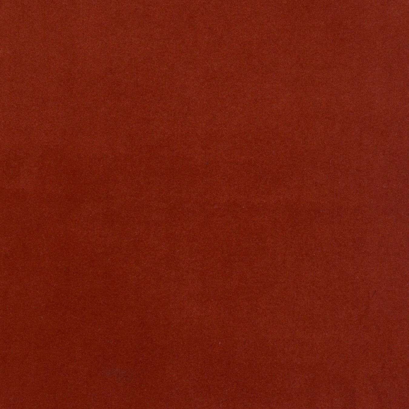 Modern Velvet Cayenne
