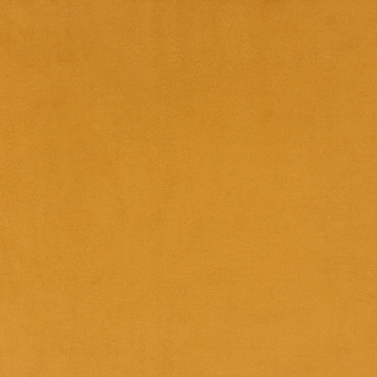 Modern Velvet Gold