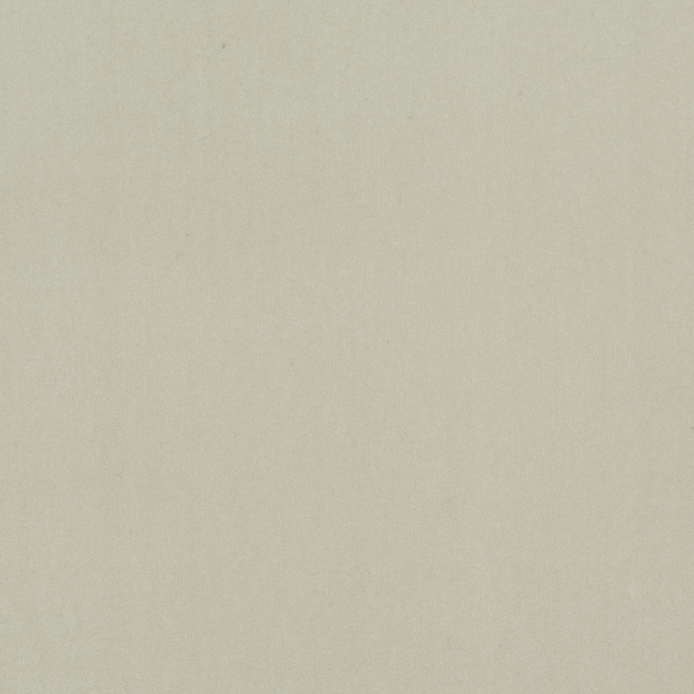 Modern Velvet Oyster