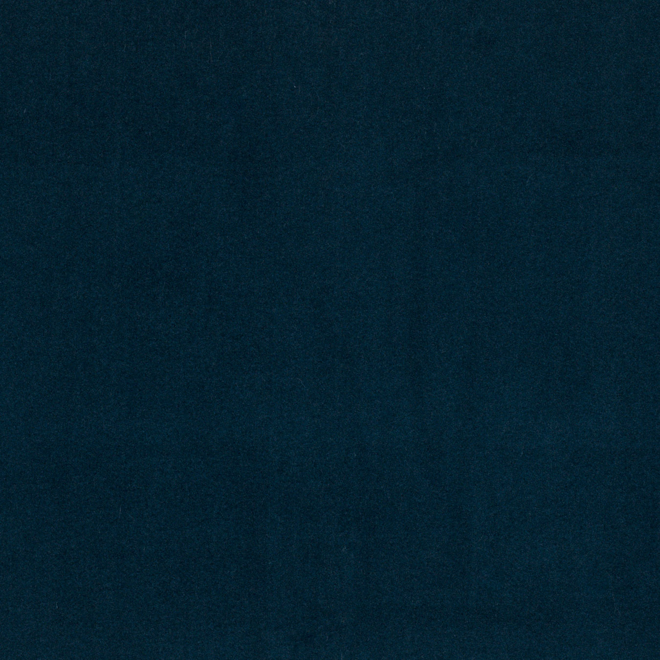 Modern Velvet Peacock