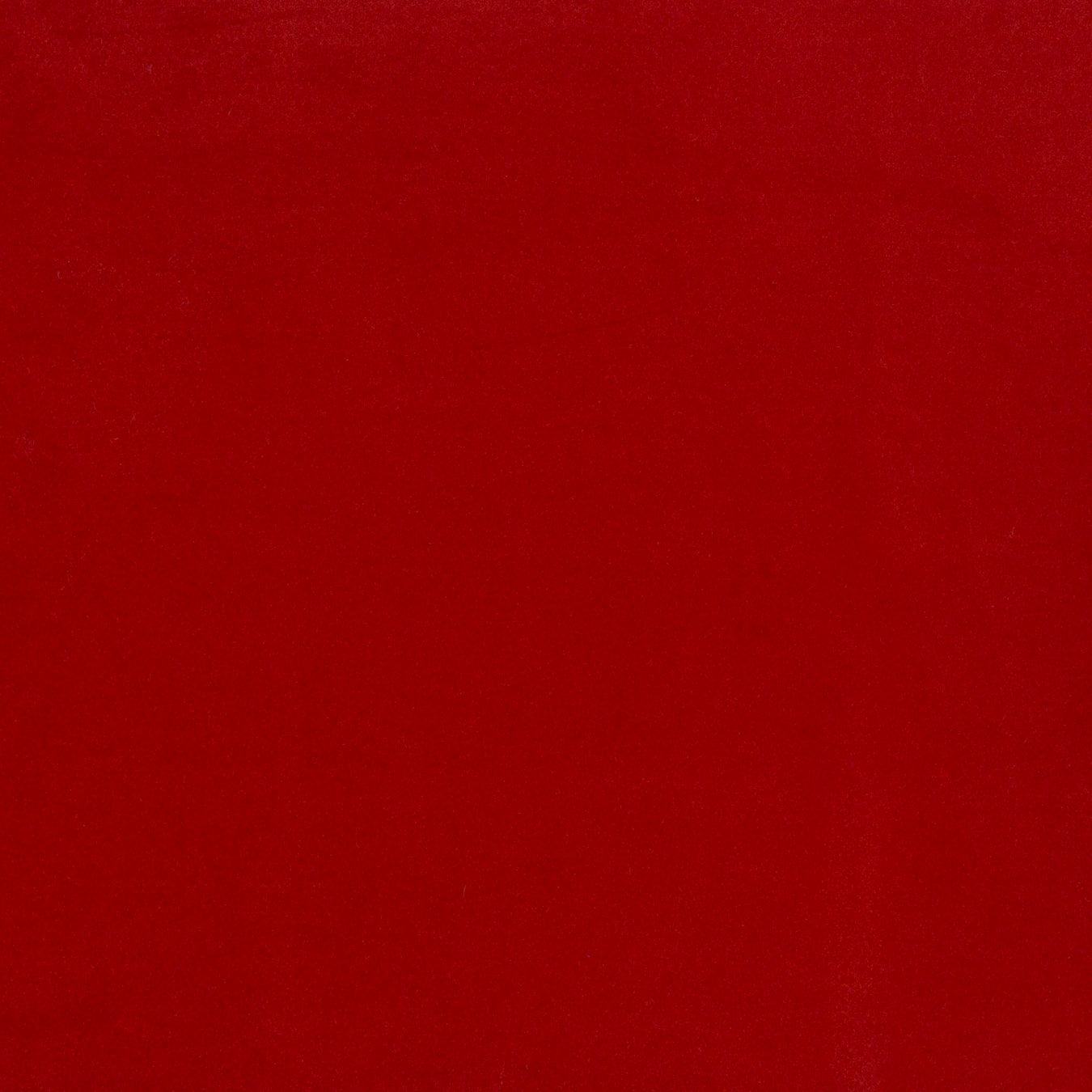 Modern Velvet Vermillion