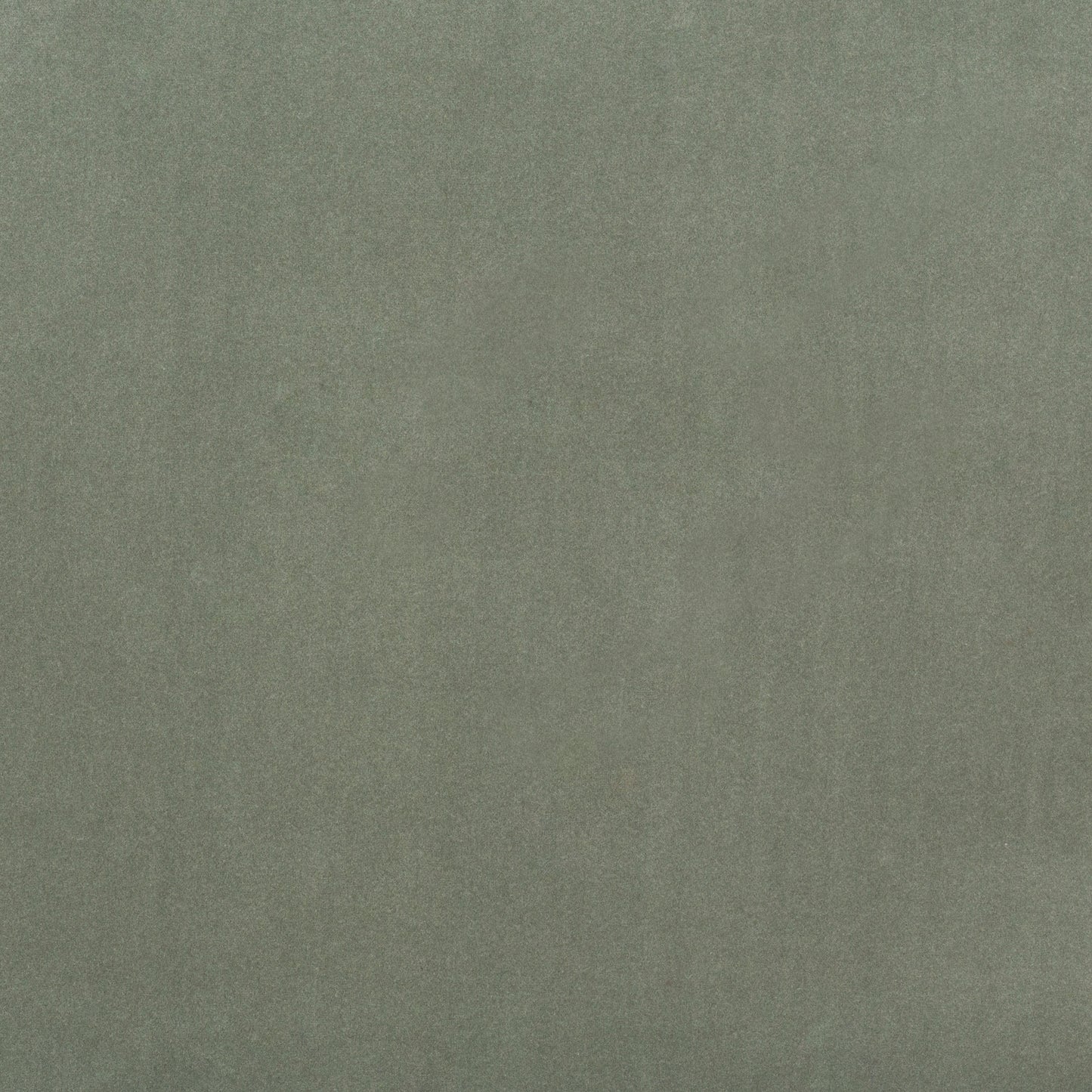 Modern Velvet Willow