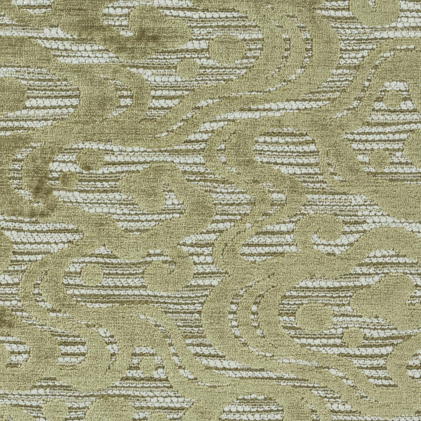Roka Citron