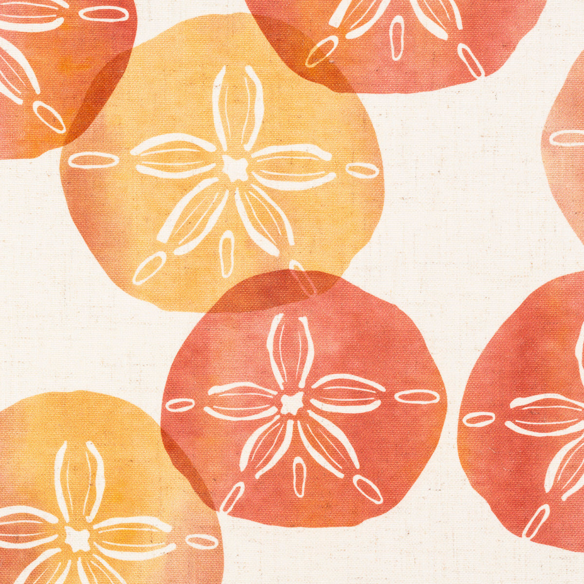 Sand Dollar Coral