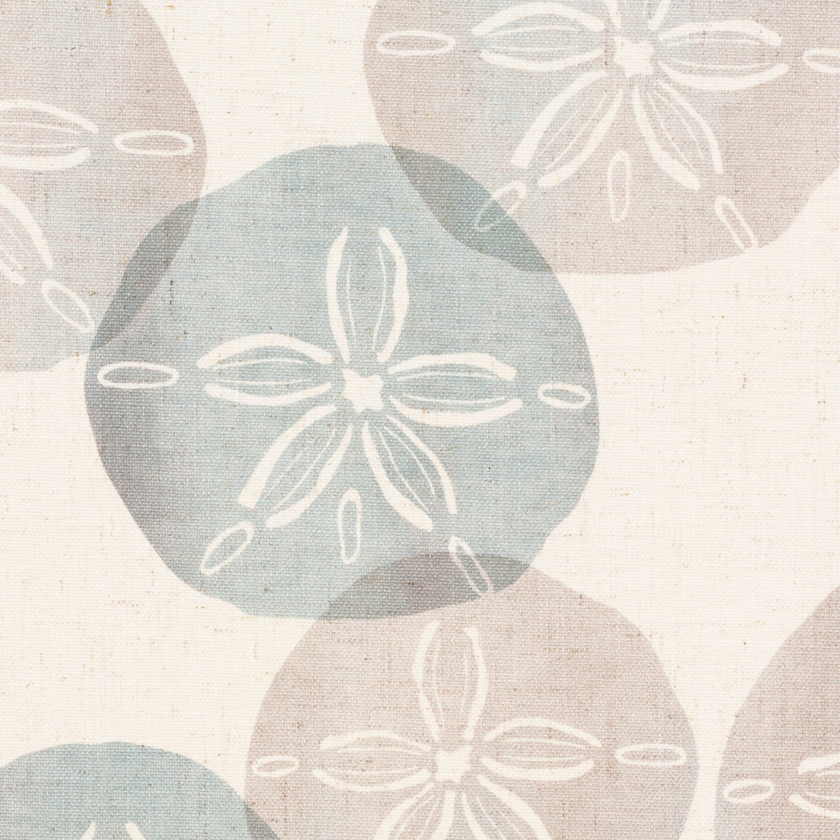 Sand Dollar Mist