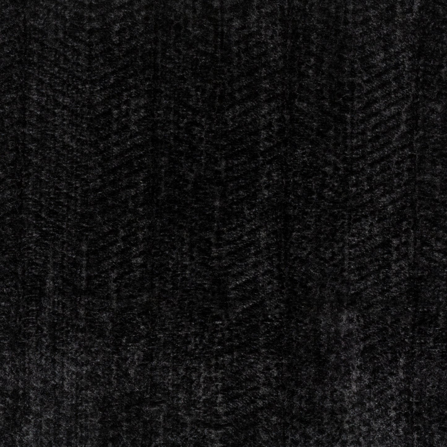 Zaftig Ebony