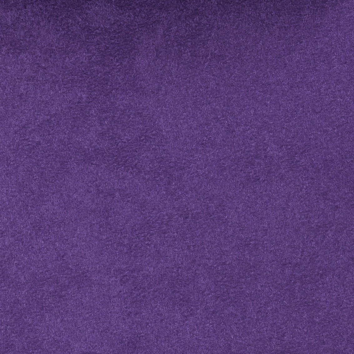 Passion Suede Purple